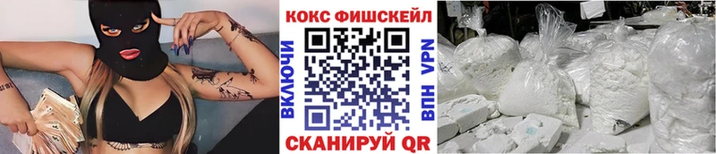 закладка  Чкаловск  Cocaine Fish Scale 