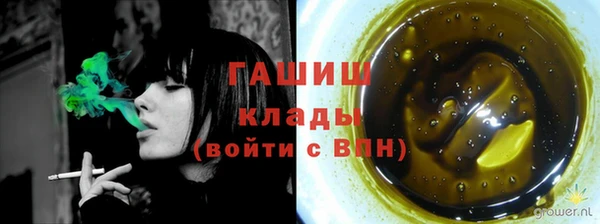 хмурый Алексин
