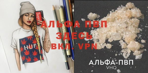 СК Абинск