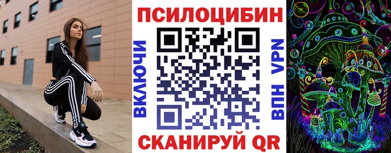 Псилоцибиновые грибы MAGIC MUSHROOMS  сколько стоит  гидра зеркало  Чкаловск 